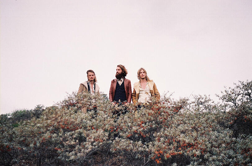 Junges Trio: DeWolff, das sind Pablo de Poel, sein Bruder Luka van de Poel und Robin Piso.