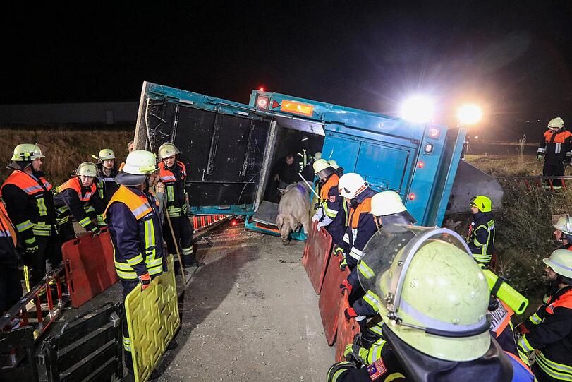 In Unterfranken kam es in der Nacht auf Dienstag zu einem schlimmen Unfall mit einem Viehtransporter - die Bilder.