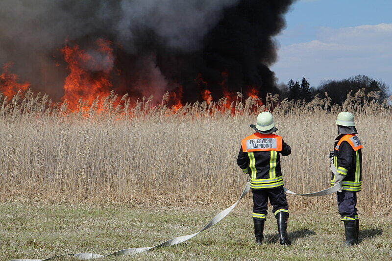 Mit einer Löschkette kämpften ein Feuerwehrmänner gegen die Feuerwalze, die sich durch das Schilf fraß.