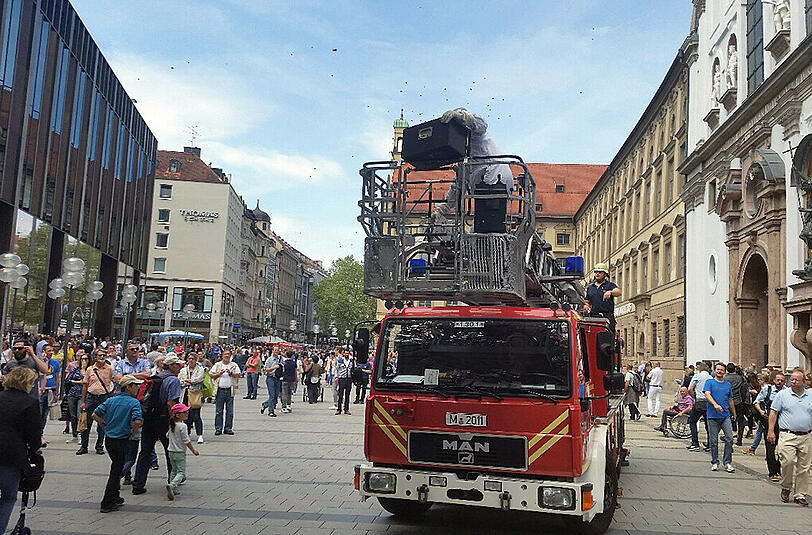 In der Fußgängerzone musste die Feuerwehr ein Bienenvolk einfangen. Die Bilder.