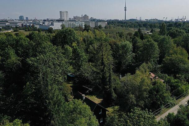 Der grüne Eggarten in der Lerchenau. Der grüne Eggarten in der Lerchenau.