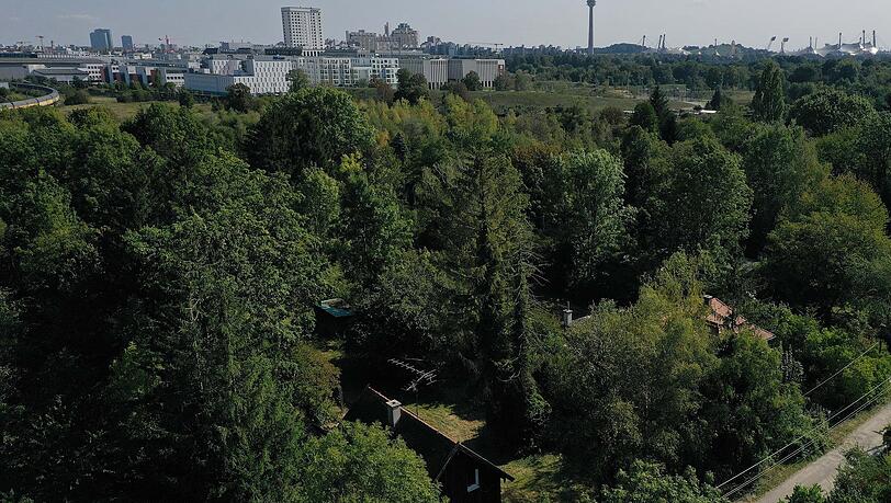 Der grüne Eggarten in der Lerchenau. Der grüne Eggarten in der Lerchenau.