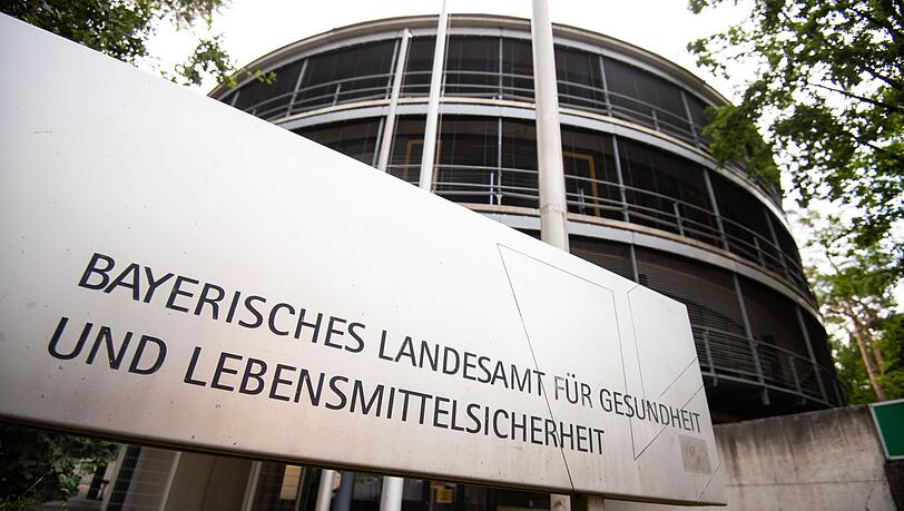 Das Landesamt hat bei einem Pferd das gefährliche Borna-Virus nachgewiesen. (Symbolfoto)