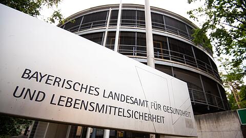 Das Landesamt hat bei einem Pferd das gefährliche Borna-Virus nachgewiesen. (Symbolfoto)