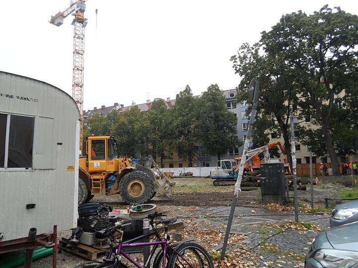 ... bis zum Donnerstag standen die beiden Bäume hier rechts im Bild, auch sie werden umgesägt...