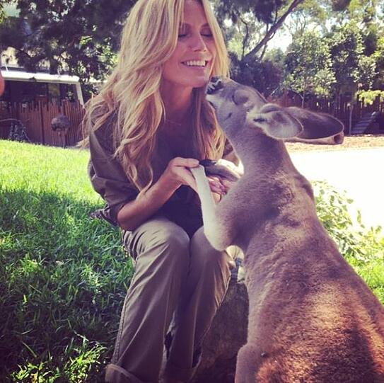 Die schönsten Bilder von Heidi Klum