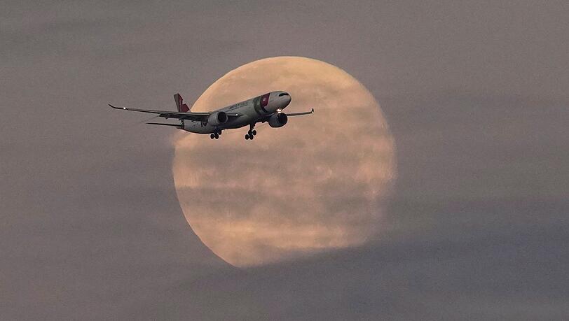 Die Lufthansa will bei der portugiesischen TAP einsteigen. Die Lufthansa will bei der portugiesischen TAP einsteigen.