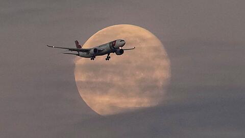 Die Lufthansa will bei der portugiesischen TAP einsteigen.