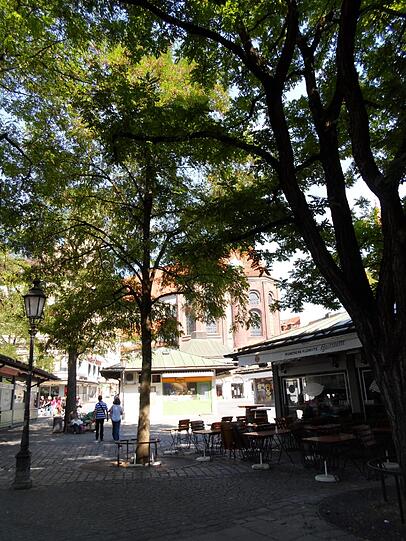 Wegen massiven Blattlaus-Befalls hat den Akazien am Viktualienmarkt bald das letzte Stündlein geschlagen.