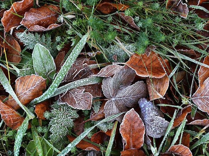 Es wird kalt: Der Winter übernimmt fast in ganz Deutschland die Regie.