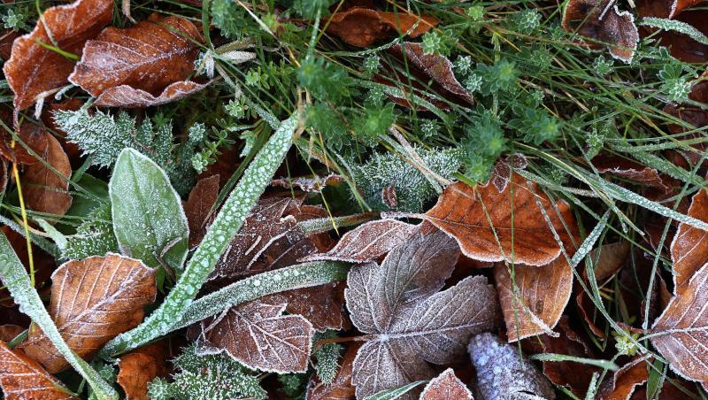 Es wird kalt: Der Winter übernimmt fast in ganz Deutschland die Regie. Es wird kalt: Der Winter übernimmt fast in ganz Deutschland die Regie.