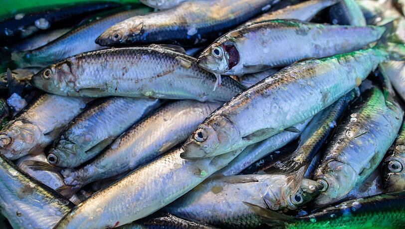 Das Abkommen soll die Fischerei nachhaltiger machen. (Symbolbild)