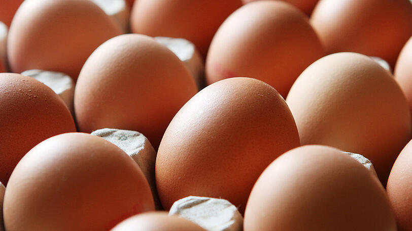 Die Liste der vom Fipronil-Skandal betroffenen Länder wird Tag für Tag länger