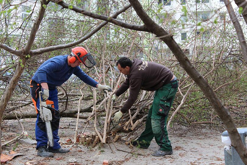 Einsatz mit der Kettensäge: Mitte April haben Arbeiter der Stadt Büsche auf dem Josephsplatz Büsche gefällt.
