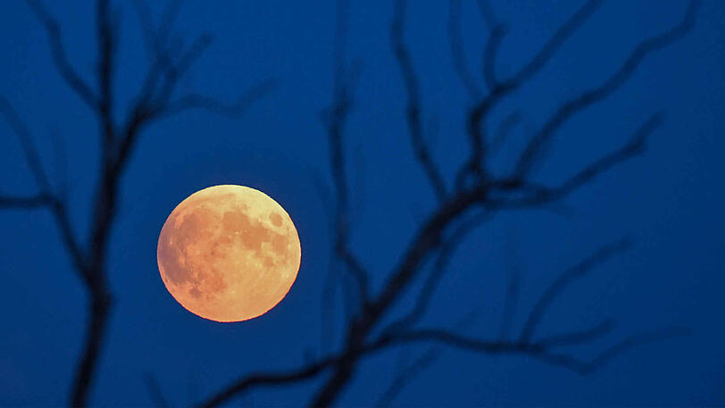 Der Vollmond vor der partiellen Mondfinsternis in Brandenburg.
