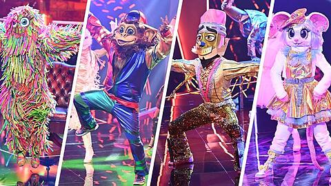 Das Zottel, der Affe, der Buntstift und die Maus wollen "Masked Dancer" gewinnen.