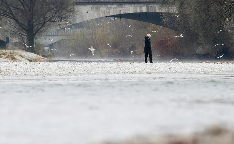 Auch die Isar leidet unter dem ungewöhnlichen November-Wetter.