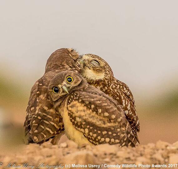Was guckst du?