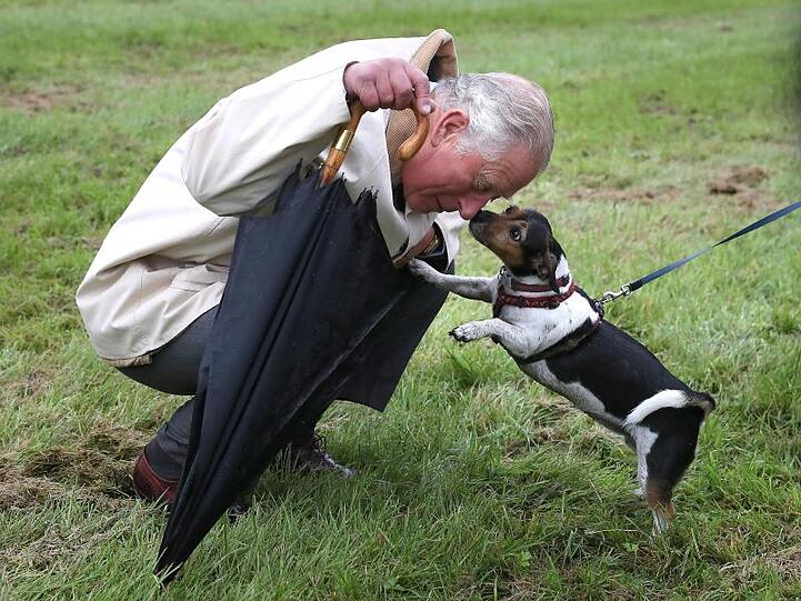Freudige Begrüßung: Charles und "Beth", der Hund von Herzogin Camilla.
