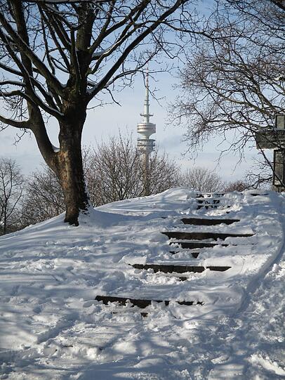 "Treppe zum Olympiaturm" nennt Diane Rymer ihren Fund im Luitpoldpark.
