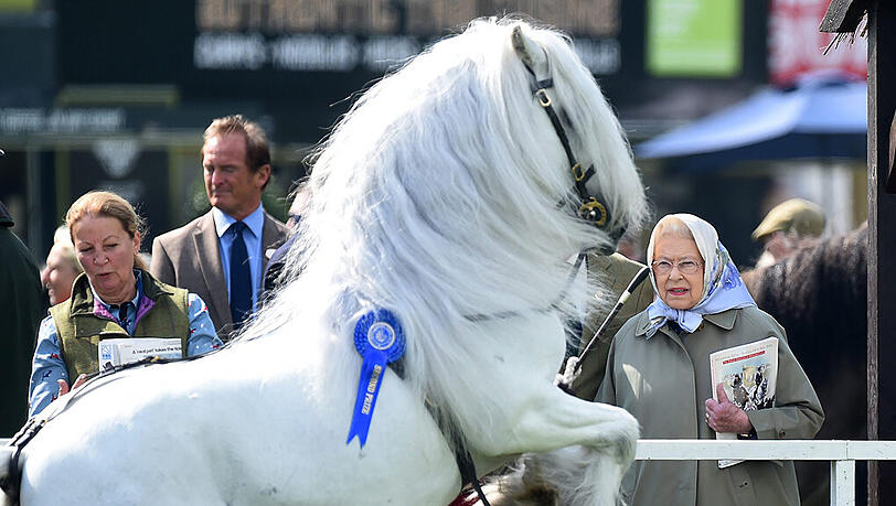 Ein Pferd springt in der Nähe der britischen Königin Queen Elizabeth II. während der Windsor Royal Horse Show. Ein Pferd springt in der Nähe der britischen Königin Queen Elizabeth II. während der Windsor Royal Horse Show.