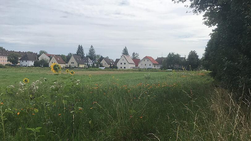 Letzter freier Acker: An der Truderinger Straße sollen 820 Wohnungen entstehen.