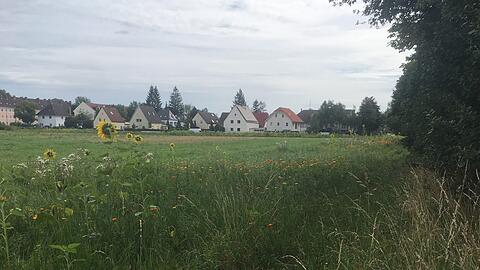 Letzter freier Acker: An der Truderinger Straße sollen 820 Wohnungen entstehen.