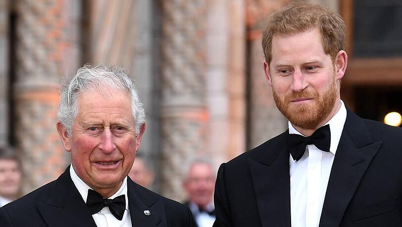 Viel Zeit sollen König Charles und Prinz Harry bislang nicht miteinander verbracht haben.
