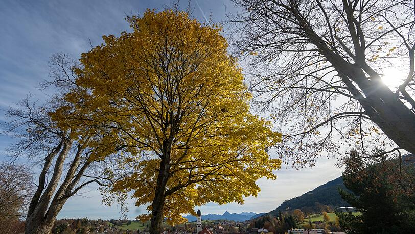 In Bayern bringt das Wetter ordentlich Nebel und ein wenig Sonne mit. (Symbolbild) In Bayern bringt das Wetter ordentlich Nebel und ein wenig Sonne mit. (Symbolbild)