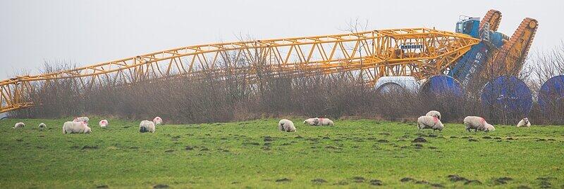 Ein umgekippter Kran liegt auf einer Baustelle für Windkraftanlagen in Janneby (Schleswig-Holstein) neben den Segmenten eines Windrads.