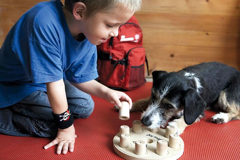 Hunde im Besuchsdienst können Einsamkeit und soziale Isolation von Kindern, Senioren und Menschen mit Beeinträchtigungen mindern.