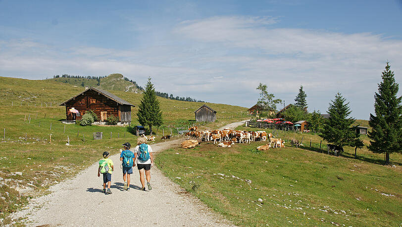 Rother Wanderbuch ErlebnisWandern mit Kindern Salzkammergut. Rother Wanderbuch ErlebnisWandern mit Kindern Salzkammergut.