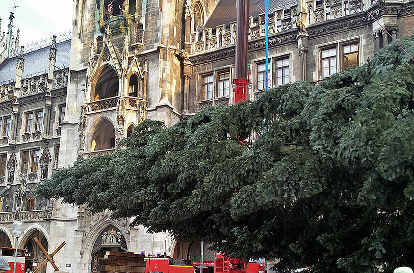 Voll ist er, der Baum.