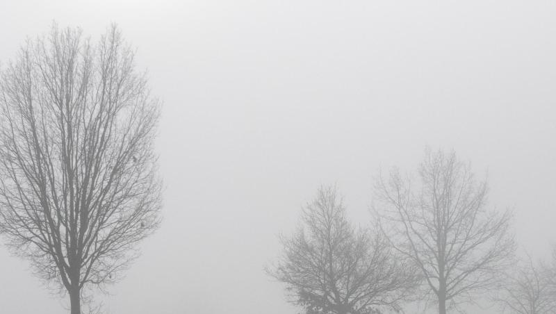 Auf einer Landstraße fährt ein Auto im dichten Nebel. Foto: Stefan Puchner/dpa/Archiv Auf einer Landstraße fährt ein Auto im dichten Nebel. Foto: Stefan Puchner/dpa/Archiv