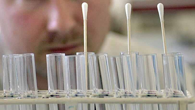 Das sogenannte Prüm-Abkommen von elf EU-Mitgliedsstaaten und Norwegen macht unter anderem den grenzüberschreitenden Abgleich von DNA-Daten möglich. Das sogenannte Prüm-Abkommen von elf EU-Mitgliedsstaaten und Norwegen macht unter anderem den grenzüberschreitenden Abgleich von DNA-Daten möglich.
