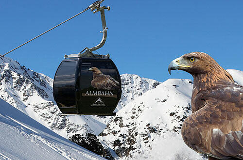 Adler schmückt Gondel, Foto: PR