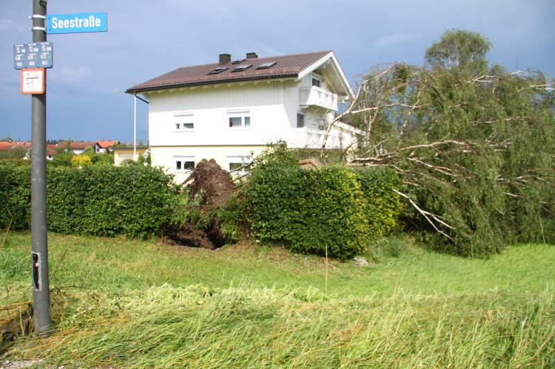 Hagel, Regen, umgeknickte Bäume, vollgelaufene Keller - Heftige Unwetter sind am Mittwochabend über Bayern gezogen. Die Bilder.