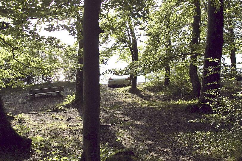 Sommer und Sonne am Starnberger See: Da ging auch ein Porsche Boxter Cabrio am Dienstag baden. Nachdem das Fahrzeug aus unbekannter Ursache ins Wasser gerollt war, musste es vom Abschleppdienst geborgen werden.
