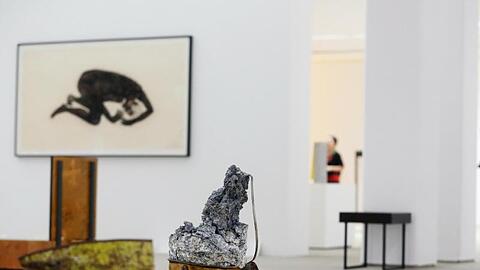 Das Bild "Traum" von Kiki Smith schaut sich am eine Fachbesucherin an. Foto: Roland Weihrauch/Archiv