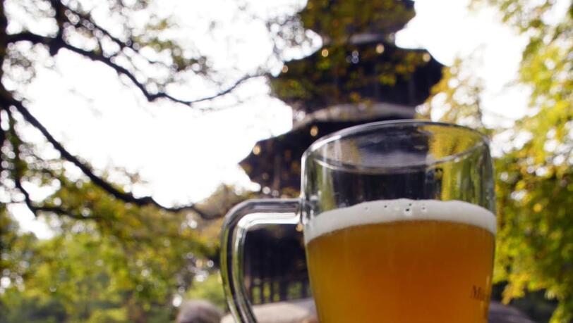 Dabei sind typische Motive, wie dieser Biergarten-Eindruck vom Chinesischen Turm. Dabei sind typische Motive, wie dieser Biergarten-Eindruck vom Chinesischen Turm.