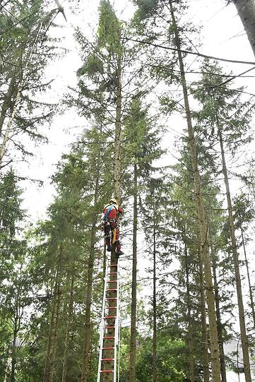Der 16-jährige Fallschirmspringen hatte wohl ein paar Schutzengel auf seiner Seite.