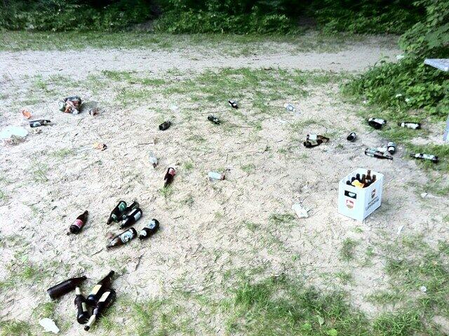 Das ist nicht nur schlecht für die Umwelt, ...