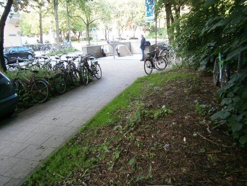 Viele Radler hatten sich über die wenigen Stellplätze beschwert.