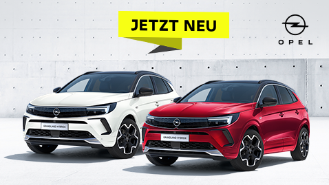 22_06_KFZ_TIPP_Häusler_Grandland