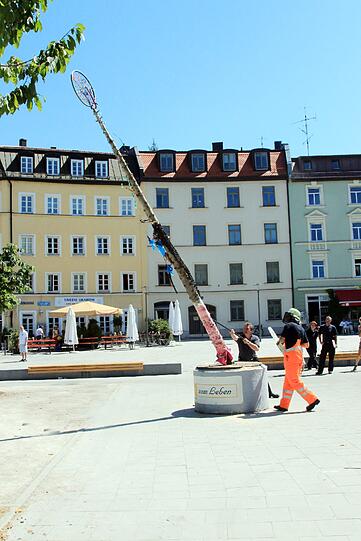 Der Hans-Mielich-Platz soll schöner werden. Mit Hilfe vieler Münchner im und um das Viertel.
