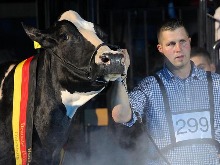Sie war die Schönste: Landwirt Henrik Wille mit seiner hochdekorierten schwarz-weißen Holstein-Kuh "Lady Gaga".