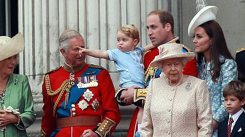 Als die Queen am 8. September 2022 starb, hatte sie acht Enkel und zwölf Urenkel.