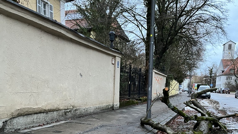 Einen besonders dicken Ast hat eine Buche in der Scheinerstraße in Bogenhausen eingebüßt. Einen besonders dicken Ast hat eine Buche in der Scheinerstraße in Bogenhausen eingebüßt.
