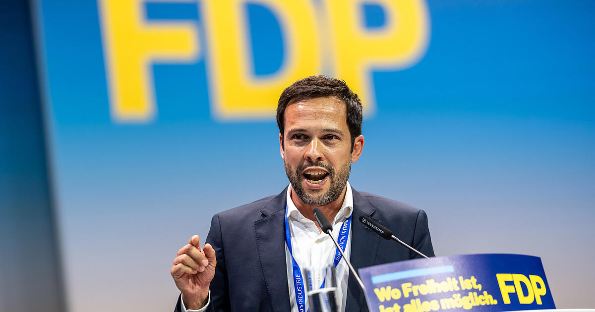 FDP ringt mit Brandmauer zur AfD: Hagen und Seehofer ziehen rote Linien