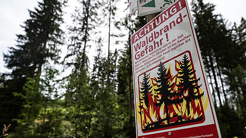 In vielen Wäldern stehen mittlerweile Warnschilder, die auf die Gefahr hinweisen.